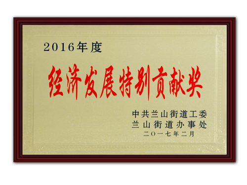 經濟發(fā)展特別貢獻獎